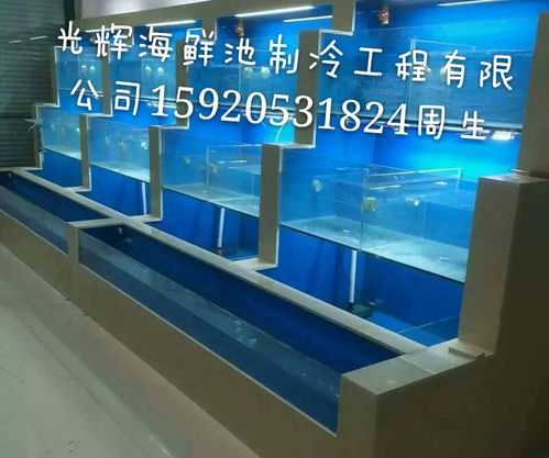 广州海鲜报价 厂家