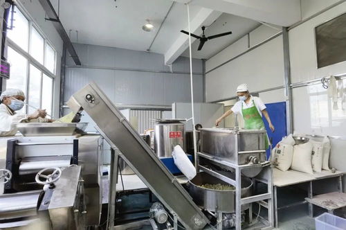 紫运薯来食品 每月80万斤红芯红薯面走上广州餐桌